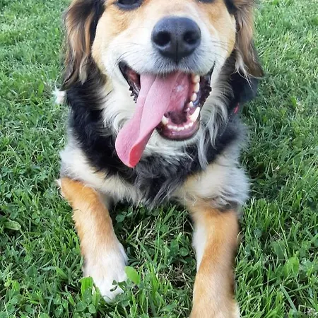 ベッド・アンド・ブレックファスト Il Rifugio バスティーア・ウンブラ