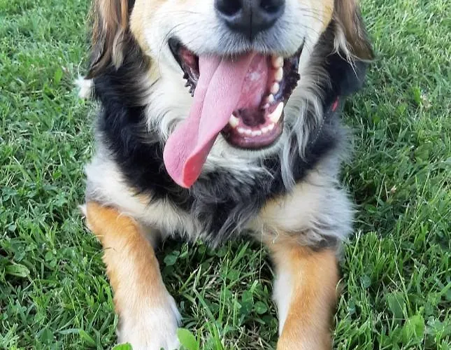 Bed and breakfast Il Rifugio Bastia Umbra